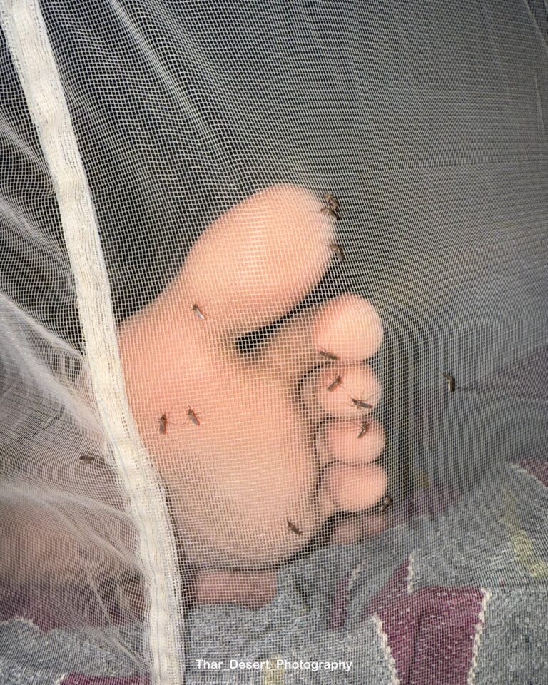 डोली गांव के लोग मौत से नहीं, ज़िंदगी से डरते हैं